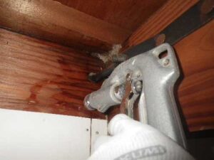 蟻害部の薬剤注入02