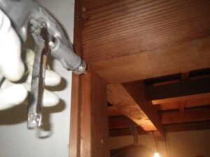 蟻害部の薬剤注入03