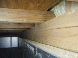 内基礎断熱シロアリ調査